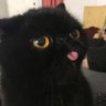 Watcher's profile picture