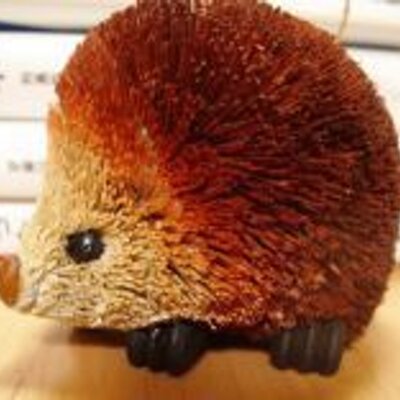 marikarikari's profile picture
