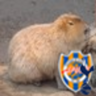 fudita's profile picture