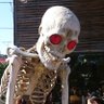 ぬぅ profil fotoğrafı