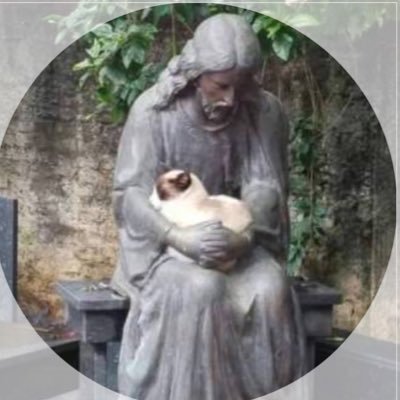 QRTrain's profile picture