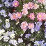 sunny garden profil fotoğrafı