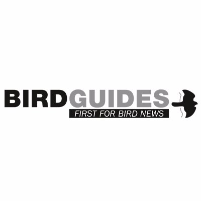 BirdGuides's profile picture