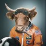 Фото профиля CosmonautCow