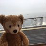 いーの's profile picture