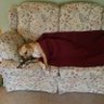 Jeff Bonifati 的头像