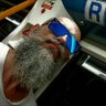 Carlos Liceras's profile picture