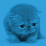 twtd's profile picture