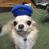 アレン's profile picture