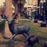 سلمى profil fotoğrafı