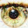 Mr. Piddles 的头像