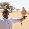 Profilbild von سليمان السالم/راعي مشهور