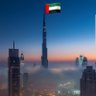 Ahmed Al Ali's profile picture