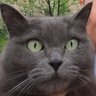 Оле Хуекойе profil fotoğrafı