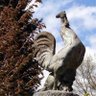 Profilbild von Chanticleer Rock