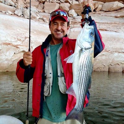 Fred Lynn's profile picture