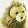 まきゅん🦁 的头像
