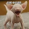 за Вас! profil fotoğrafı