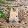 Фото профиля Santiago Navas Llama