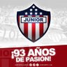 Junior y nada más 😎's profile picture