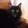 Eileen's profile picture
