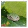 Susan W. Linden's profile picture