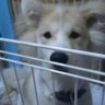 タクミ profil fotoğrafı