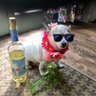 Profilbild von OneAmericanJoy