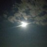 コバリョフ 的头像