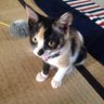 Profilbild von くぅちゃん