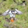 Фото профиля Gary Buchan