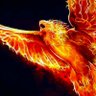 Profilbild von the prince of fire