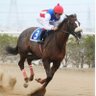 Фото профиля MR.Sabah