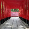 Фото профиля かせきシードル