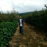 wong ndeso profil fotoğrafı