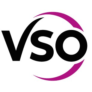 VSO Ireland's profile picture