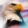 Eagle One 🇺🇸🦅 的头像