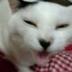 ひいな 的头像