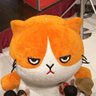 大阪花子@大阪の中心から万博中止を叫ぶ's profile picture