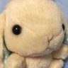 たむさんじょのいこ profil fotoğrafı