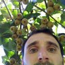 Damien Darti's profile picture