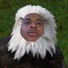 Pynxs's profile picture