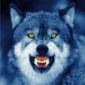 Council Wolf ⤵️'s profile picture