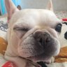Profilbild von ZensokU_Ch
