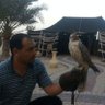 عبدالله العمارين's profile picture