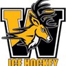 CB West Ice Hockey's profile picture