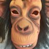 Rory Crowley's profile picture