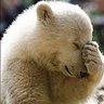 Profilbild von Miss Understood