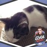 dianne andrade's profile picture