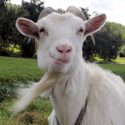 TwiddersGad's profile picture